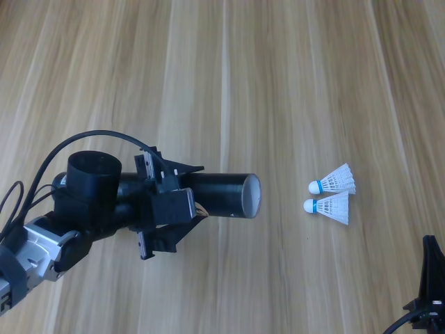 Shuttlecock insertion, chronological frame 2 of 6 from Figure 12.